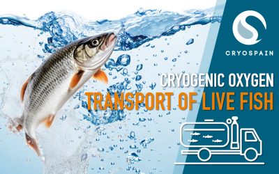 Cryogenic Maintenance Vital for the Road Transport of Live Fish