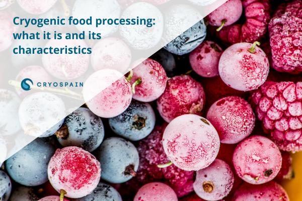 Cryogenic food processing: what it is and its characteristics