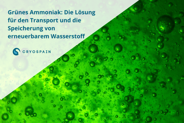 Grünes Ammoniak: Die Lösung für den Transport und die Speicherung von erneuerbarem Wasserstoff