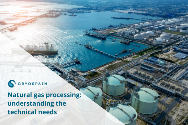 Natural gas processing: understanding the technical needs